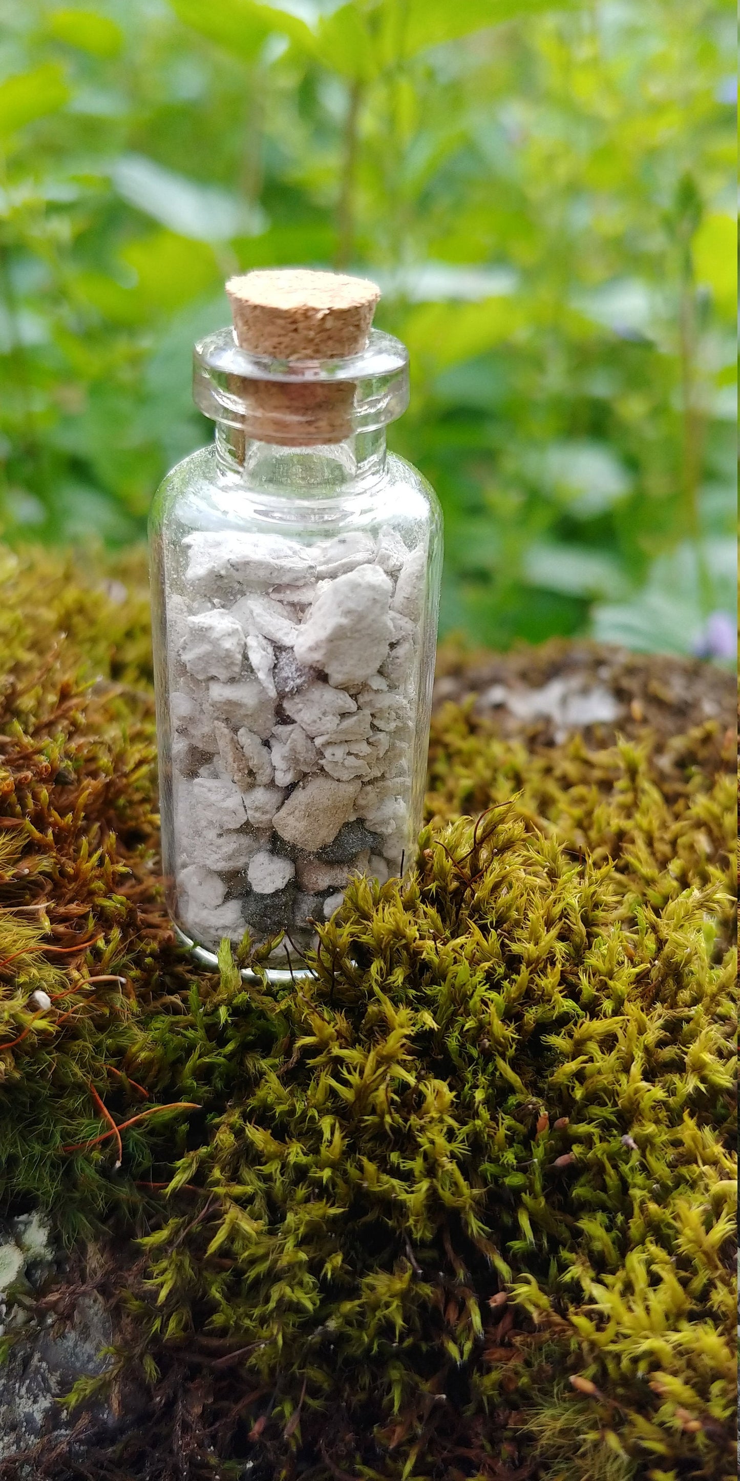 Hekla - Pumice from Hekla Volcano - Lava Rock from the 2000 Eruption